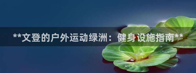 意昂体育3平台：**文登的户外运动绿洲：健身设施指南