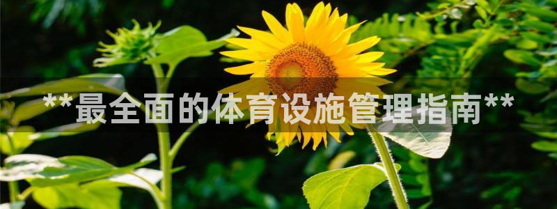 意昂体育3招商电话：**最全面的体育设施管理指南**