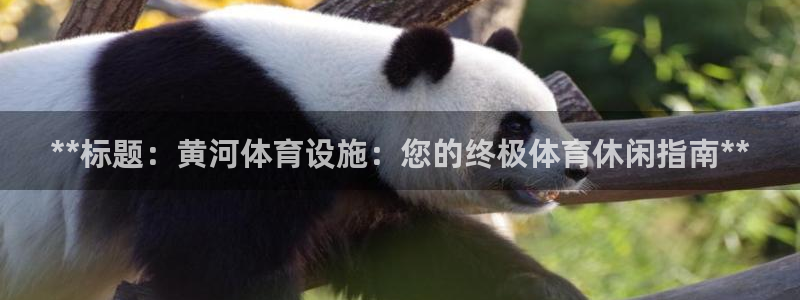 意昂体育3招商电话号码查询：**标题：黄河体育设施：