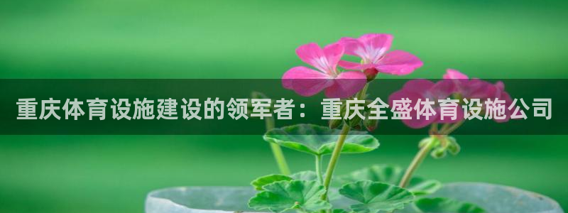 意昂3娱乐平台：重庆体育设施建设的领军者：重庆全盛体