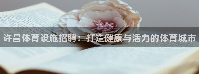 意昂体育3招商：许昌体育设施招聘：打造健康与活力的体