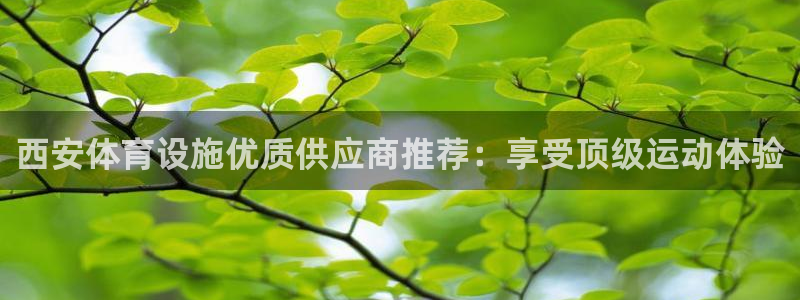 意昂平台体育