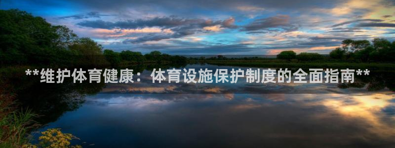 意昂3五金厂：**维护体育健康：体育设施保护制度的全