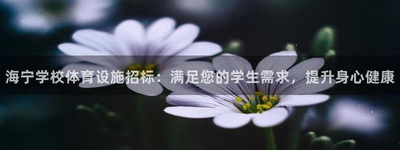 德国意昂3集团：海宁学校体育设施招标：满足您的学生需