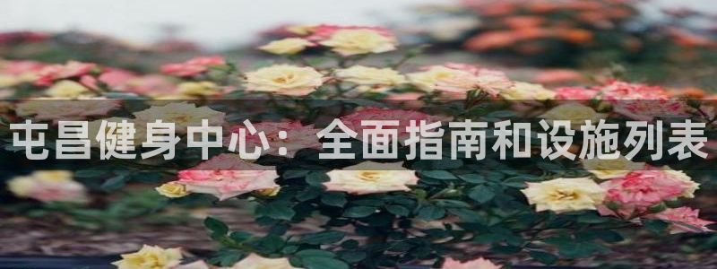 海南意昂体育3发展怎么样：屯昌健身中心：全面指南和设