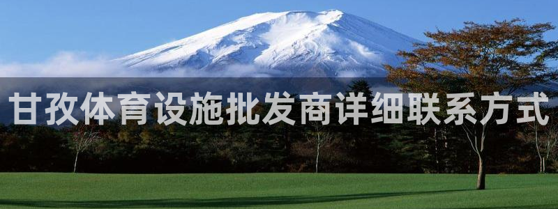 意昂3集团简介：甘孜体育设施批发商详细联系方式