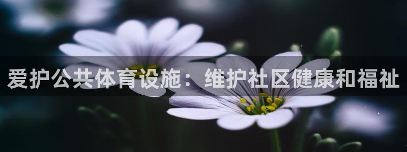 意昂体育3平台是正规平台吗知乎：爱护公共体育设施：维