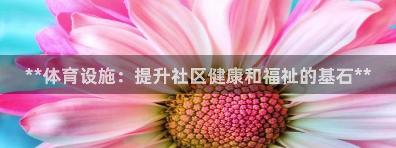 意昂3神州：**体育设施：提升社区健康和福祉的基石*