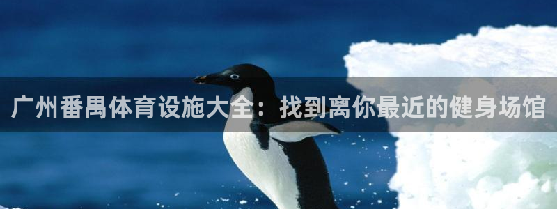 意昂3娱乐网站：广州番禺体育设施大全：找到离你最近的