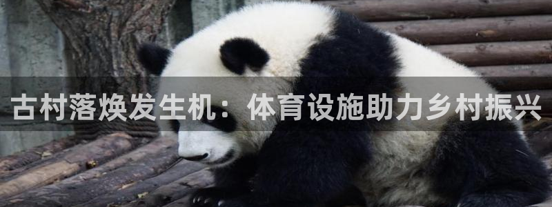 意昂体育3平台是正规平台吗知乎：古村落焕发生机：体育