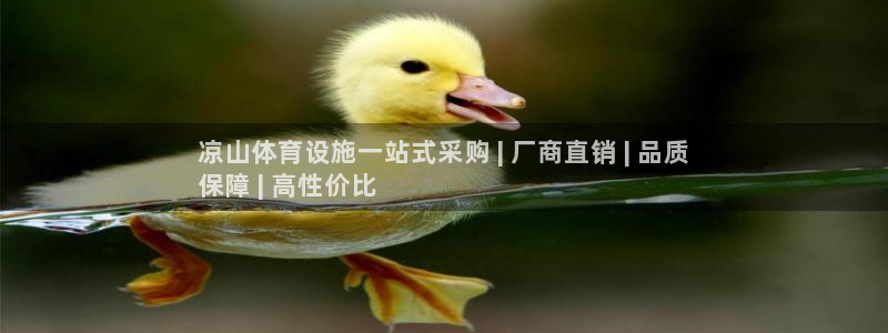 意昂体育3平台是正规平台吗安全吗：凉山体育设施一站式