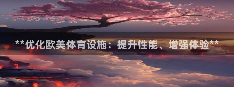 意昂体育3软件：**优化欧美体育设施：提升性能、增强体验**