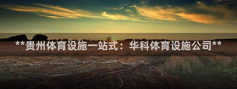 意昂3娱乐下载：**贵州体育设施一站式：华科体育设施