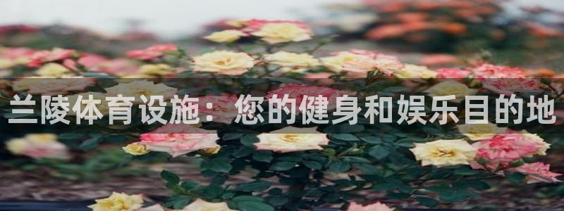 意昂体育3招商电话号码：兰陵体育设施：您的健身和娱乐