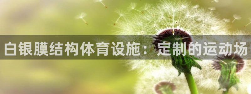 意昂3官网：白银膜结构体育设施：定制的运动场