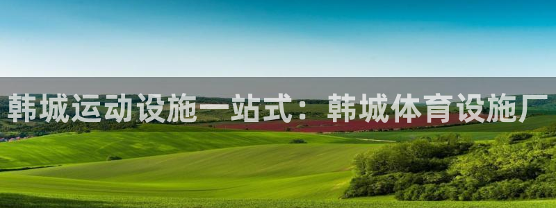 意昂3集团E.ON：韩城运动设施一站式：韩城体育设施