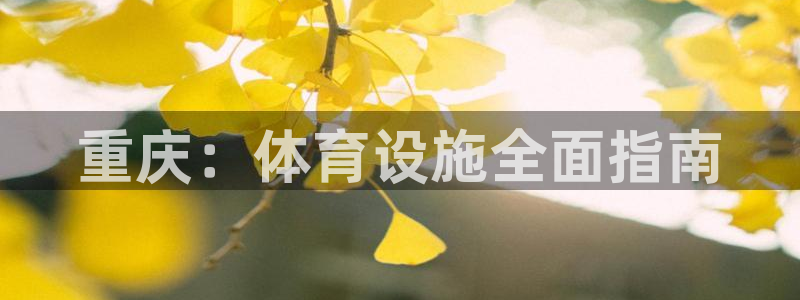 意昂体育3招商电话地址是多少：重庆：体育设施全面指南