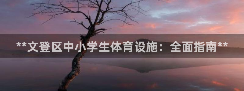 意昂3娱乐代理怎么样：**文登区中小学生体育设施：全