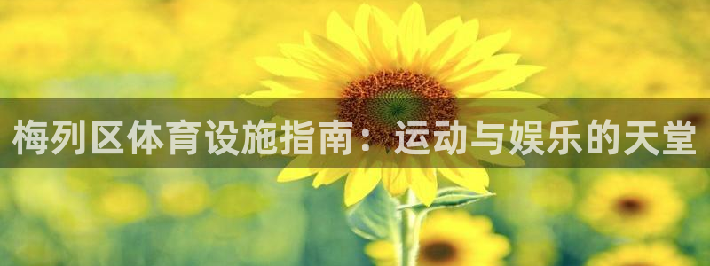 意昂3集团：梅列区体育设施指南：运动与娱乐的天堂