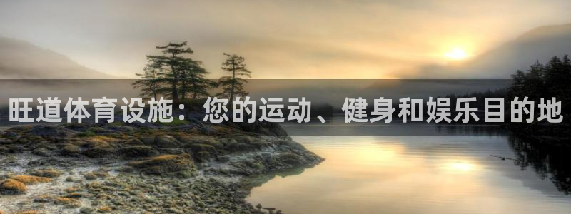 意昂体育3是干嘛的公司：旺道体育设施：您的运动、健身