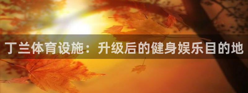 意昂体育3招商电话号码：丁兰体育设施：升级后的健身娱