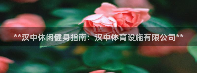 意昂集团官网：**汉中休闲健身指南：汉中体育设施有限