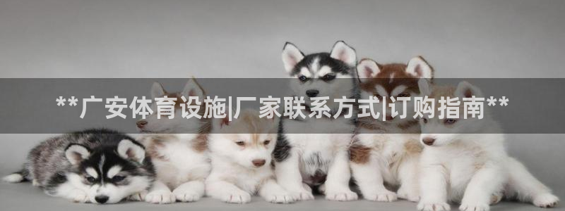 意昂3娱乐首页官网下载：**广安体育设施|厂家联系方