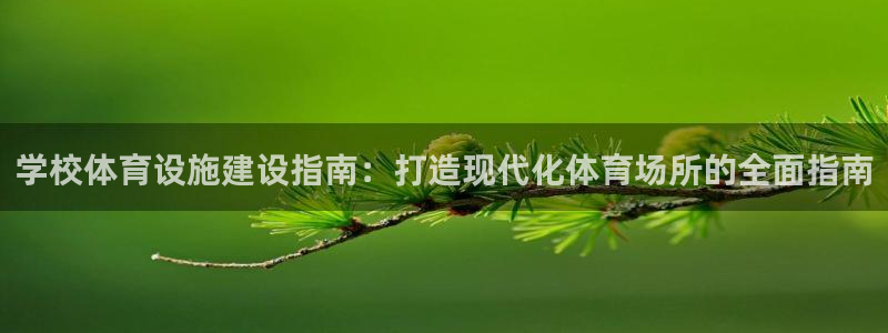 意昂3娱乐首页网站大全：学校体育设施建设指南：打造现