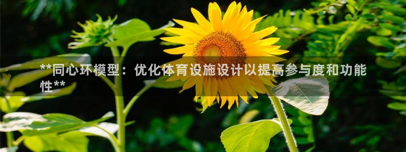 意昂3开户：**同心环模型：优化体育设施设计以提高参