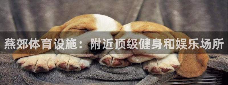 意昂体育3联系电话：燕郊体育设施：附近顶级健身和娱乐