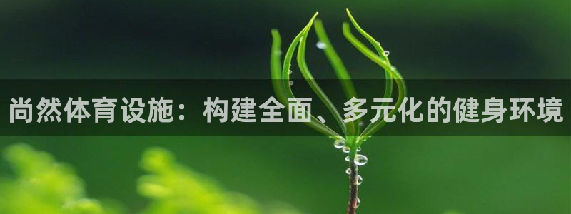 意昂3娱乐平台