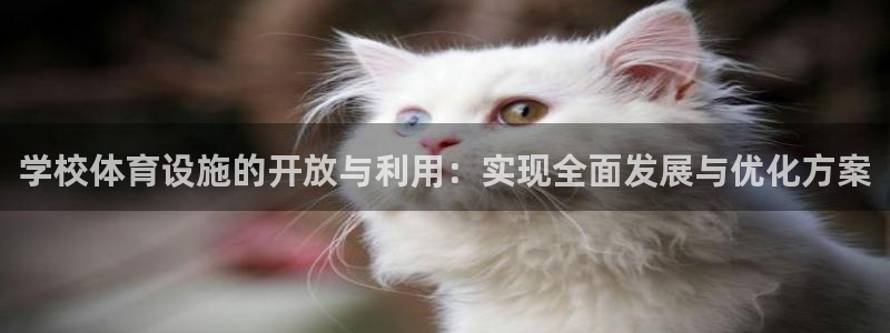 意昂3娱乐首页网站大全