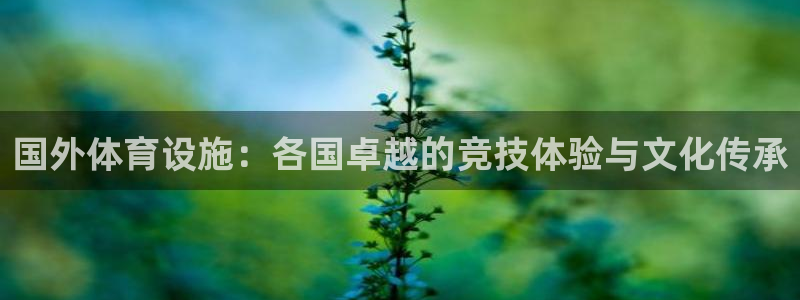 意昂3新能源