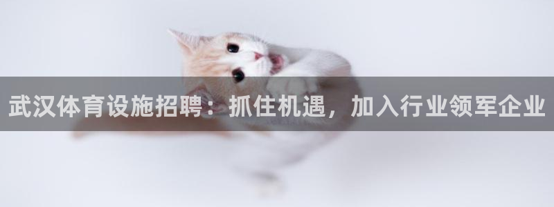 意昂体育3平台注册要钱吗是真的吗：武汉体育设施招聘：抓住机遇