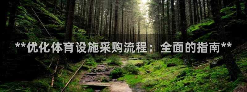 海南意昂体育3：**优化体育设施采购流程：全面的指南**
