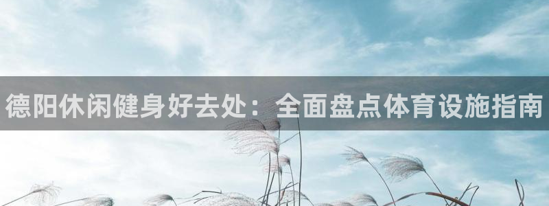 意昂3新能源：德阳休闲健身好去处：全面盘点体育设施指