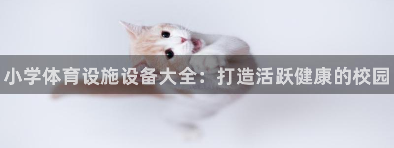 意昂3集团E.ON：小学体育设施设备大全：打造活跃健
