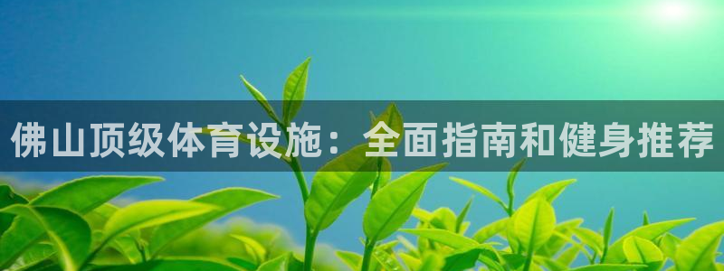 海南意昂体育3：佛山顶级体育设施：全面指南和健身推荐