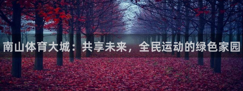 意昂体育3平台是正规平台吗：南山体育大城：共享未来，全民运动