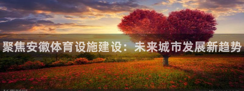 意昂3娱乐首页网站大全：聚焦安徽体育设施建设：未来城市发展新 