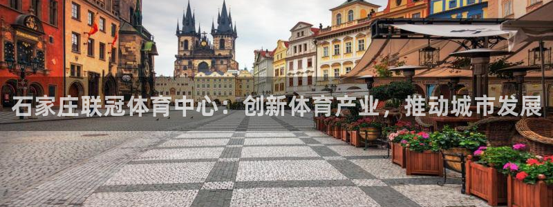意昂体育3联系电话：石家庄联冠体育中心：创新体育产业