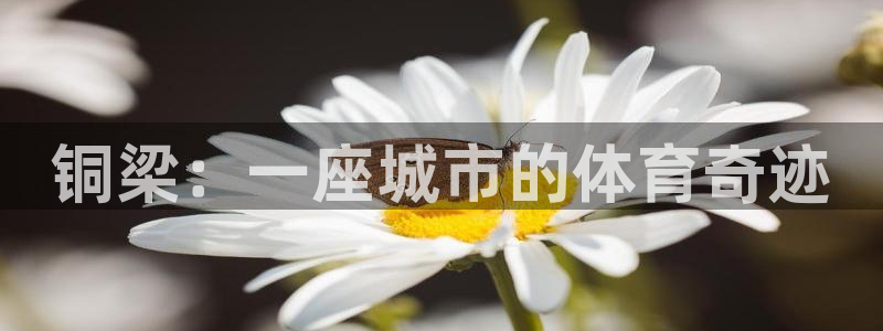 意昂体育3软件：铜梁：一座城市的体育奇迹