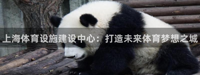 意昂3集团logo：上海体育设施建设中心：打造未来体育梦想之