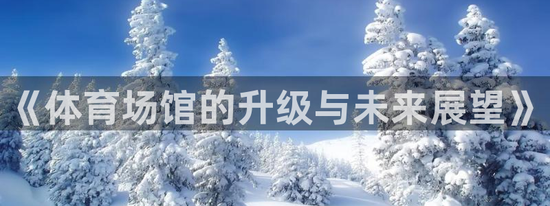 意昂体育3平台：《体育场馆的升级与未来展望》