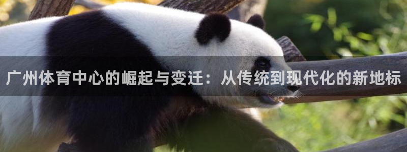 意昂3神州：广州体育中心的崛起与变迁：从传统到现代化