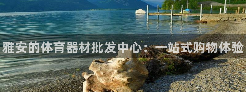 意昂3神州：雅安的体育器材批发中心：一站式购物体验