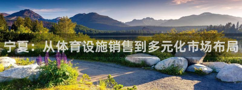 意昂体育3平台注册：宁夏：从体育设施销售到多元化市场布局