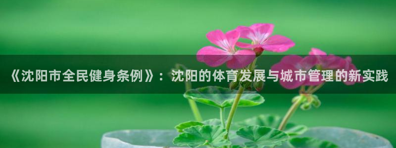 意昂3开户：《沈阳市全民健身条例》：沈阳的体育发展与城市管理